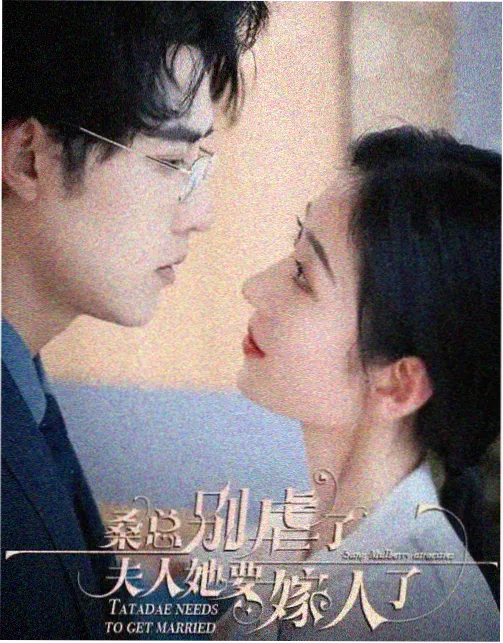 白色回声 剧集在线观看