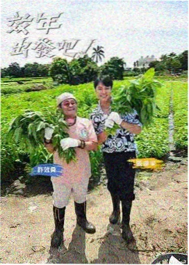厨房暗号 综艺在线观看